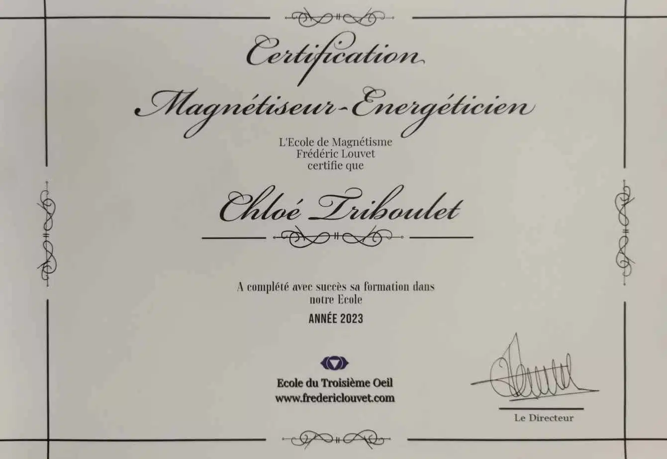 Certificat Magnétiseur Energéticien